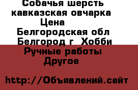 Собачья шерсть ( кавказская овчарка) › Цена ­ 150 - Белгородская обл., Белгород г. Хобби. Ручные работы » Другое   